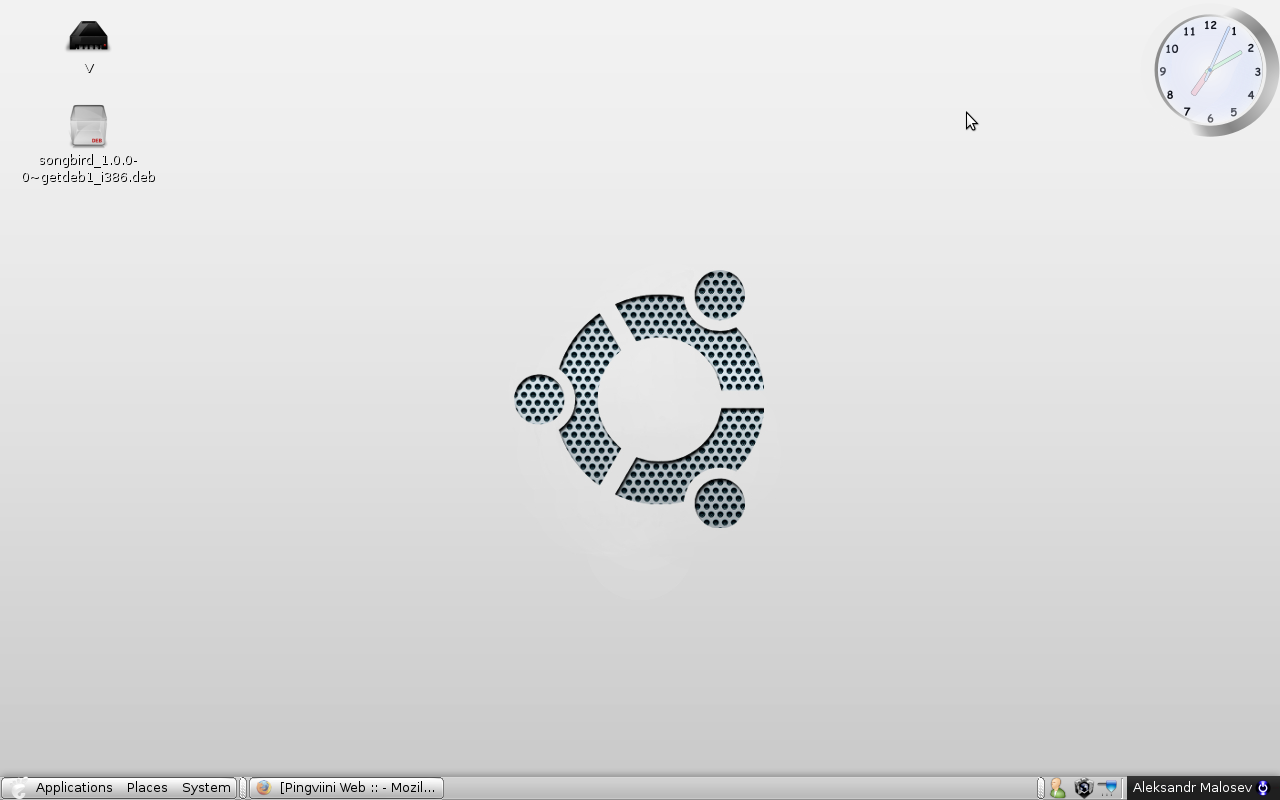 Ubuntu 8.10 Desktop