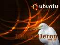 Ubuntu Hardy Back