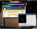ArchLinux ja Gnome töölauakeskkond versioon 2.30: Firefox 3.6 koos Elektro dance personasega, Totem-lihtne muusika- ja filmiesitaja