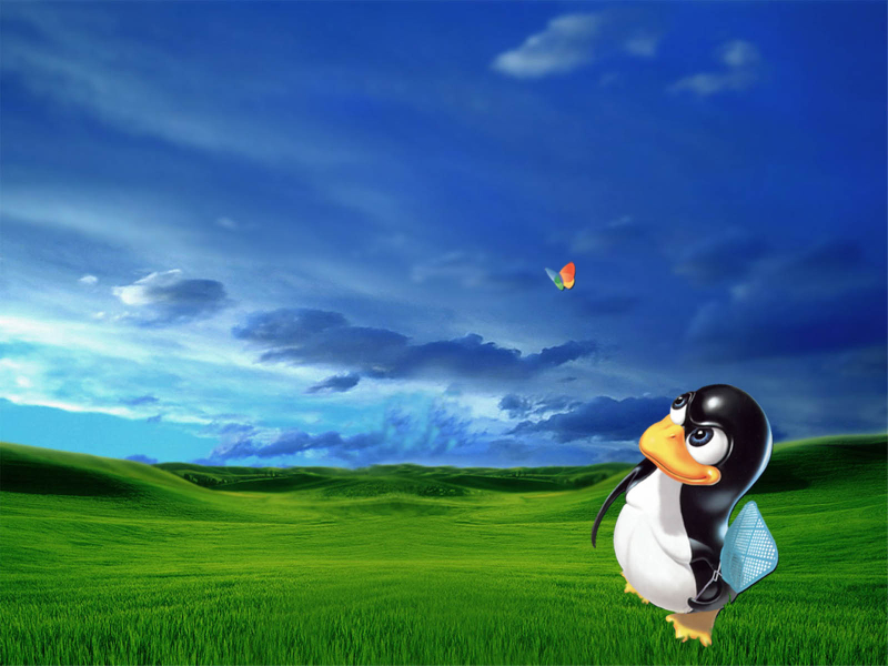 Tux vs Msn