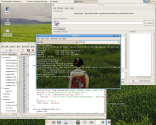 Xfce 4.4 RC2@Zenwalk 4.2