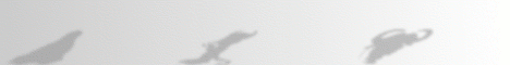 banner 2
