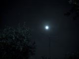 Moonlight