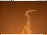 Ubuntu 8.04