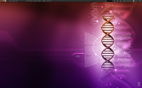 ubuntu lucid 64-bit