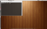 Ubuntu 10.04