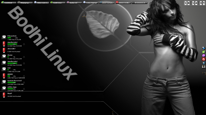Bodhi Linux Default