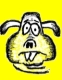Kasutaja avatar