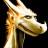 Kasutaja avatar