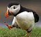 Kasutaja avatar