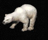 Kasutaja avatar