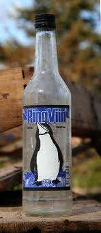 pingviin.jpeg
