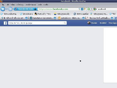 firefoxP.jpeg