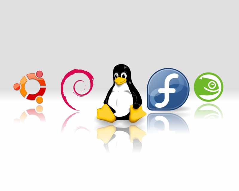 The LinuxTeam The LinuxTeam