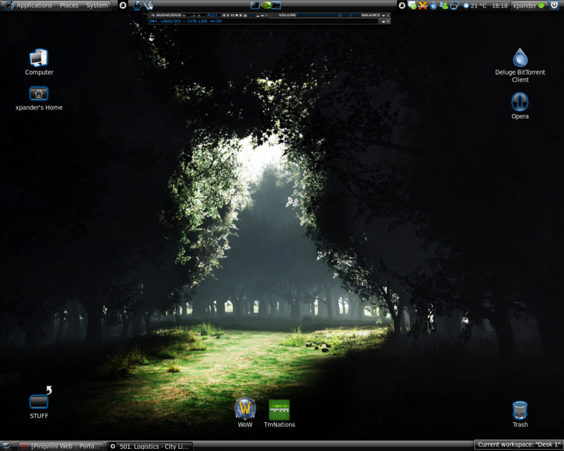 ubuntu 9.04 + oversword theme