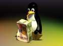 pingviin imeb pingviin imeb