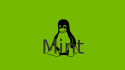 mint mint